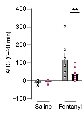 Open access visualization of Bar Plot, Error Bars, Scatter Plot, Area Under the Curve, Saline
