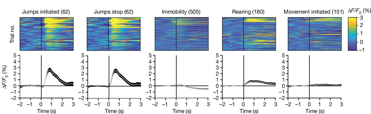Open access visualization of Line Plot, Heatmap, Error Bars, Mouse, Calcium Recording
