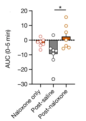Open access visualization of Bar Plot, Scatter Plot, Area Under the Curve, Saline, Naloxone