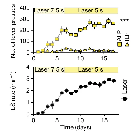 Open access visualization of Line Plot, Error Bars, Active Lever Presses, Inactive Lever Presses, Laser Stimulations
