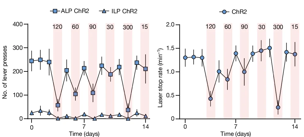 Open access visualization of Line Plot, Error Bars, Active Lever Presses, Inactive Lever Presses, Laser Stop
