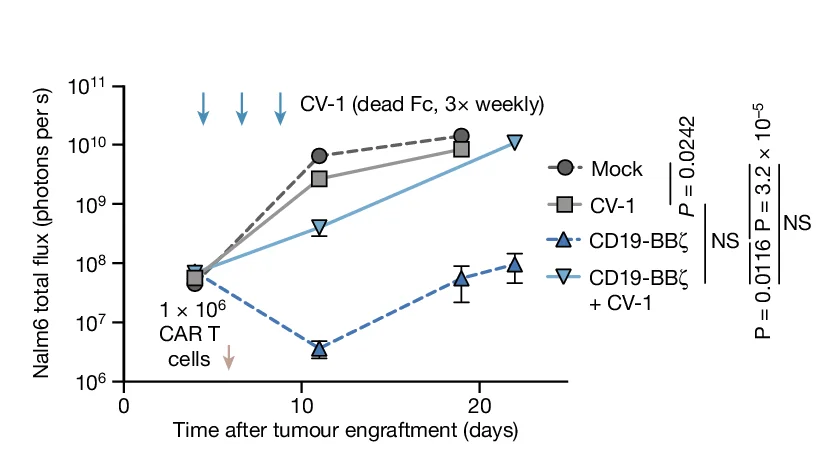 Open access visualization of Line Plot, Error Bars, Nalm6 Tumour, Tumour Growth, CD19-BB CAR T Cells