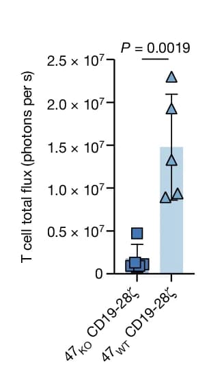 Open access visualization of Bar Plot, Error Bars, Scatter Plot, T Cell BLI, Nalm647 KO CAR T Cell Model