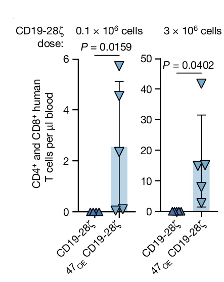 Open access visualization of Scatter Plot, Error Bars, T Cells, CAR Treatment, Blood