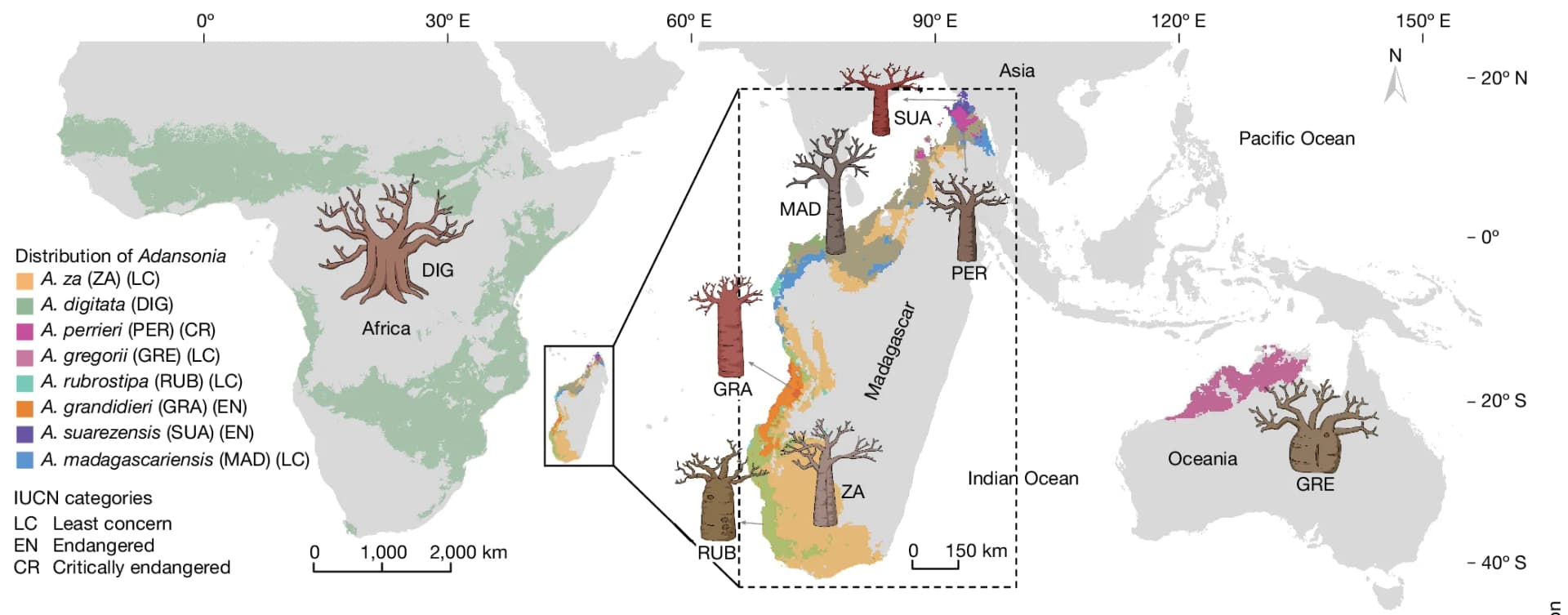 Open access visualization of Geo Map, Baobab Species, Distribution, Conservation Status, IUCN