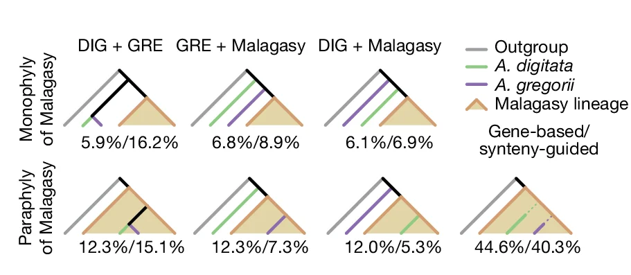 Open access visualization of Illustration, Conflicting Gene Tree Topologies, Maximum-Likelihood, SCN Genes, Synteny-Guided Genomic Blocks