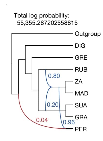 Open access visualization of Pathway, SCN Gene Trees, PhyloNet, Bootstrap Threshold, Reticulation Edges