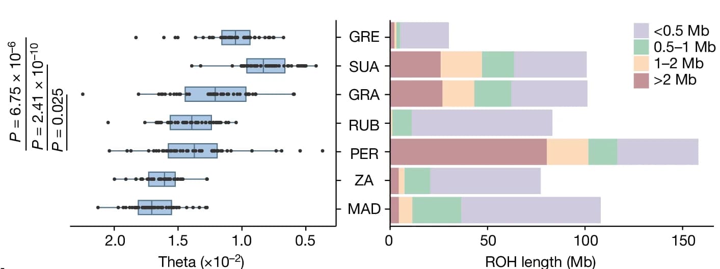 Open access visualization of Box Plot, Bar Plot, Stacked Bar Plot, GWH, ROH