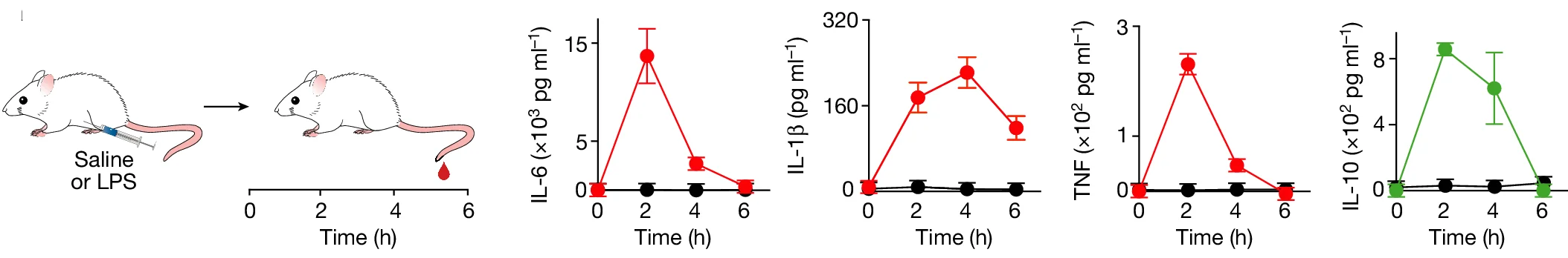 Open access visualization of Line Plot, Error Bars, LPS, Cytokine Measurements, Wild-Type Mice
