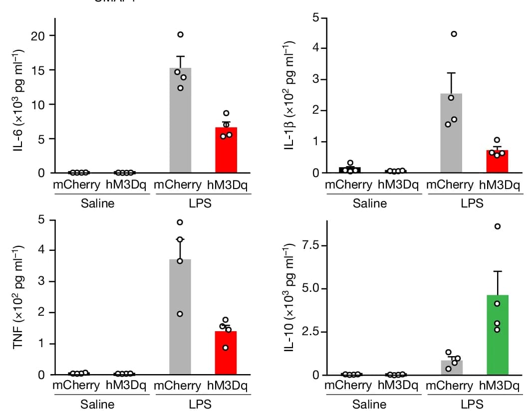Open access visualization of Bar Plot, Error Bars, Scatter Plot, Chemogenetic Activation, DBH cNST Neurons