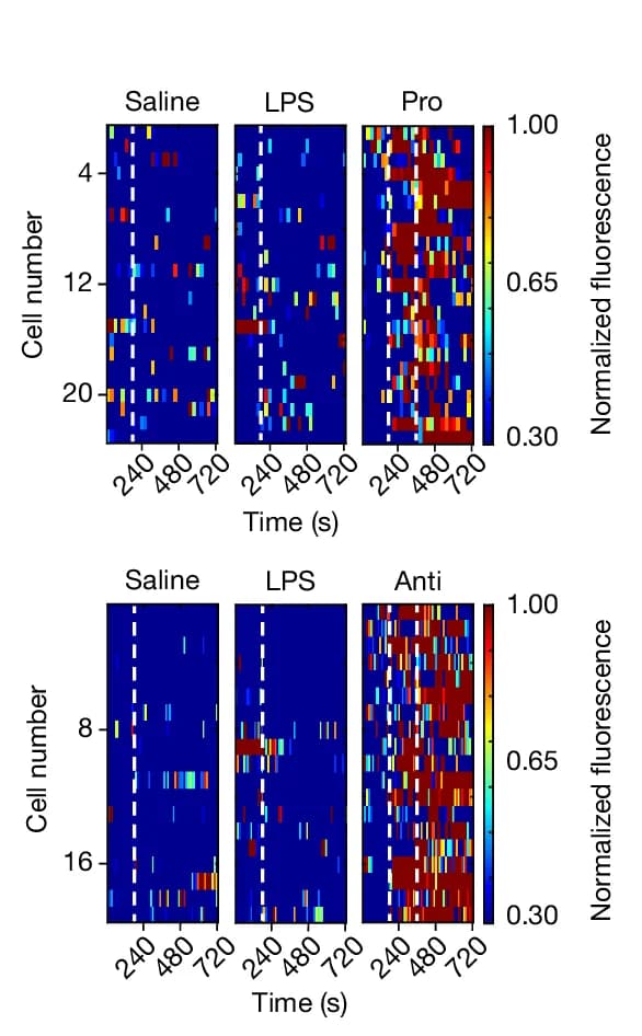 Open access visualization of Heatmap, Vagal Neurons, LPS, TNF, IL-10