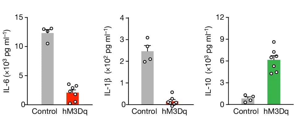 Open access visualization of Bar Plot, Error Bars, Scatter Plot, Chemogenetic Activation, TRPA1 Vagal Neurons