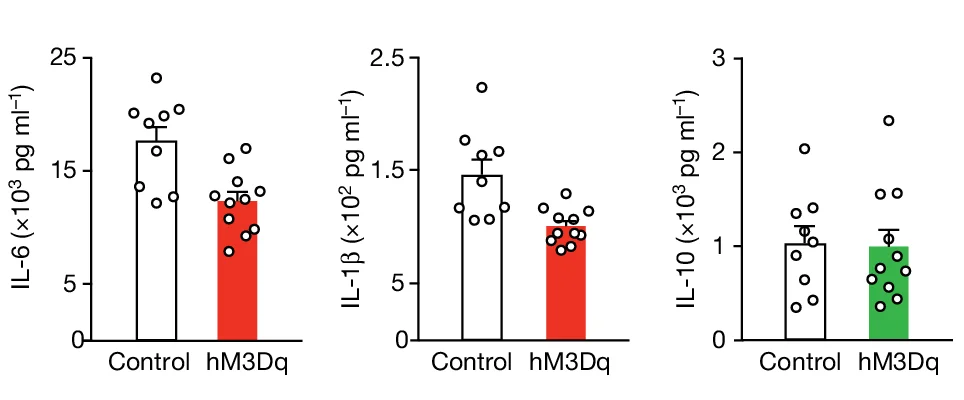 Open access visualization of Bar Plot, Error Bars, Scatter Plot, Chemogenetic Activation, CALCA Vagal Neurons