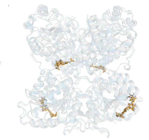Open access visualization of Protein Structure, Chemical Structure, EXTL3 Homodimer, Glycosylated Protein