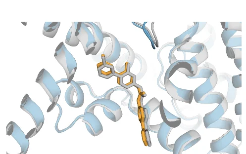 Open access visualization of Protein Structure, Chemical Structure, LGK974, PORCN, WNT3A Peptide