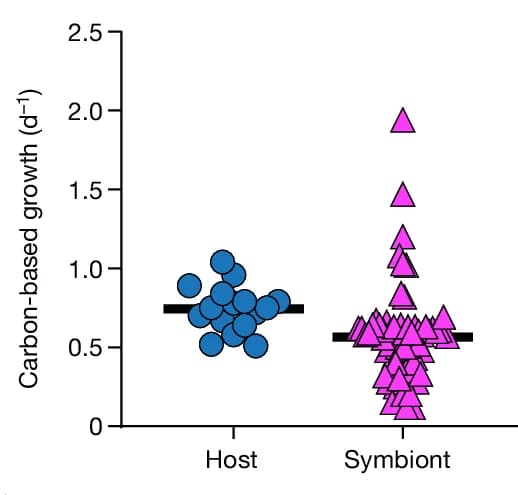 Open access visualization of Scatter Plot, Carbon-Based Growth Rates, Symbionts, Hosts