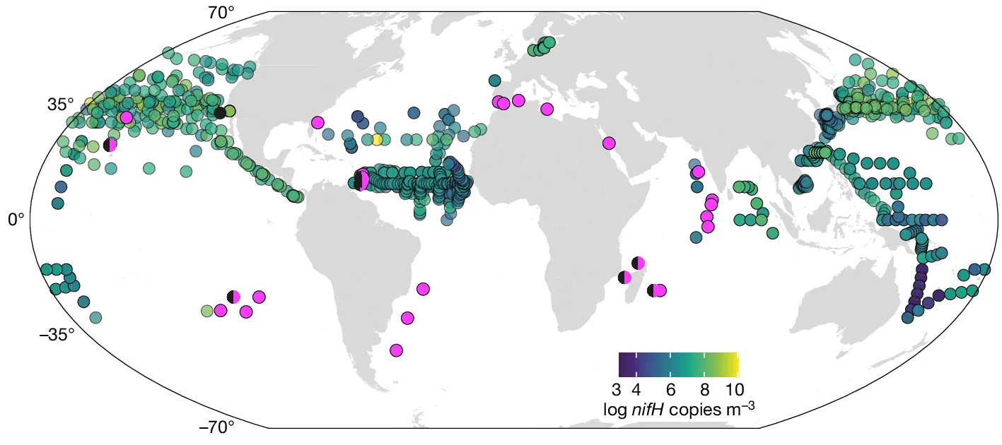 Open access visualization of Geo Map, Ca. T. diatomicola, Ca. T. profundi, Metagenome, Tara Oceans