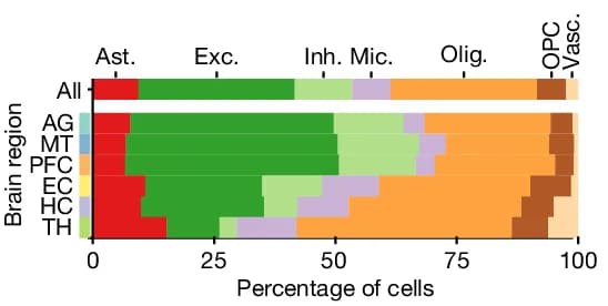 Open access visualization of Bar Plot, Stacked Bar Plot, Regional Composition, Cell Type