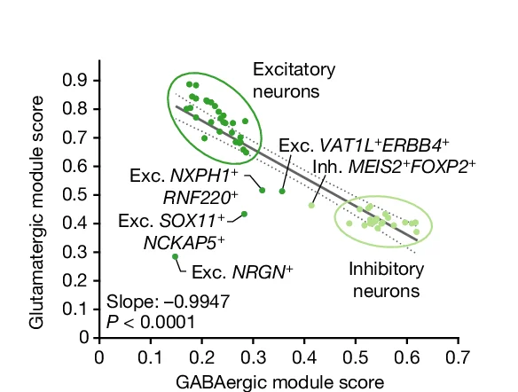 Open access visualization of Scatter Plot, Regression Plot, Glutamatergic, GABAergic, Neuron Subtypes