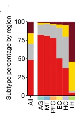 Open access visualization of Stacked Bar Plot, Astrocyte Subtypes, Regional Composition