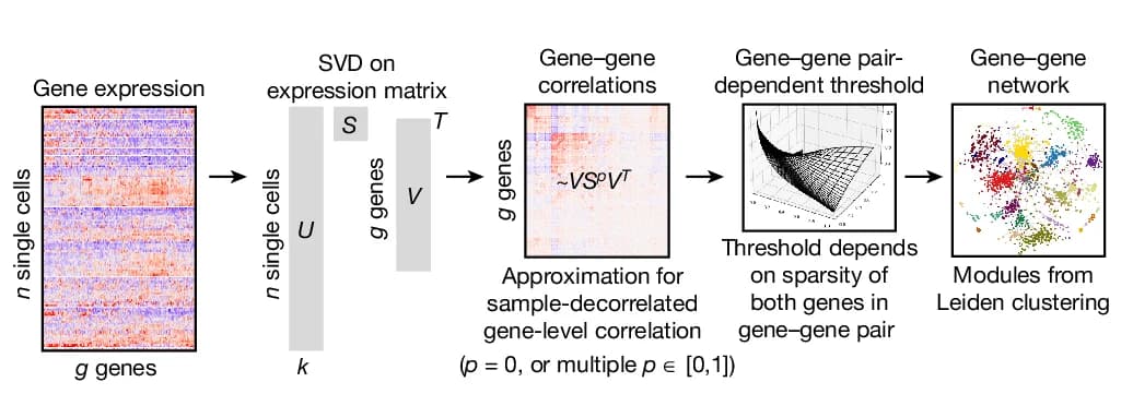 Open access visualization of Workflow, Heatmap, 3D Plot, Network, Gene Expression Modules