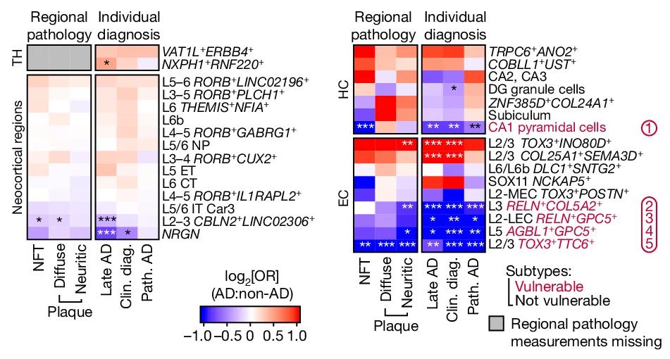 Open access visualization of Heatmap, Excitatory Neuron, AD, Quasi-binomial Regression, Clinical Diagnosis