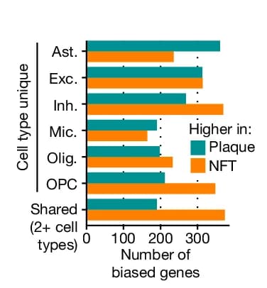 Open access visualization of Bar Plot, Clustered, Neuritic Plaques, NFTs, DEGs