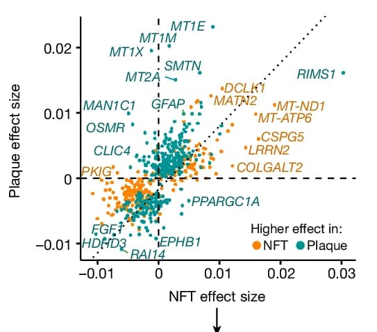 Open access visualization of Scatter Plot, Volcano Plot, NFTs, Neuritic Plaques, DEGs