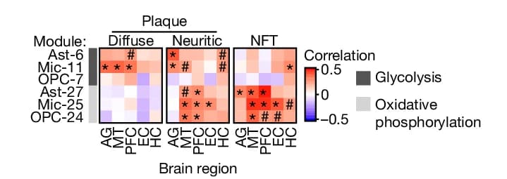 Open access visualization of Heatmap, Functional Enrichment, DEGs, Astrocytes