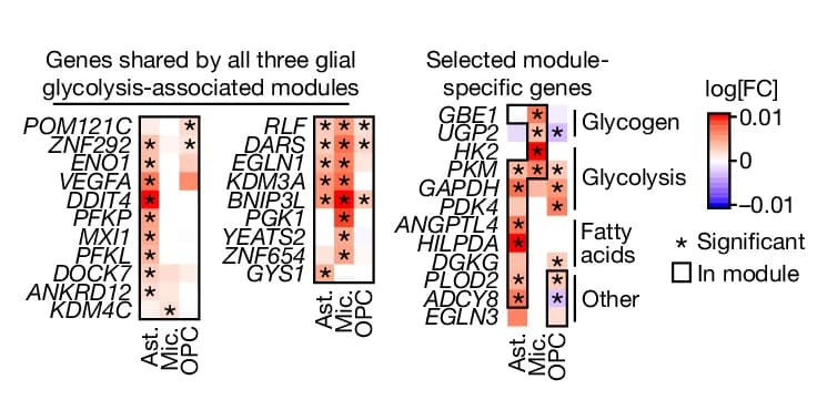Open access visualization of Heatmap, Diffuse Plaques, DEGs, Glial Glycolysis Modules