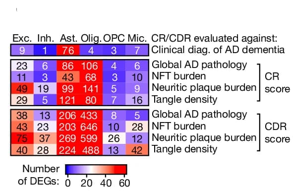 Open access visualization of Heatmap, DEGs, Cell Types, CR