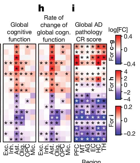 Open access visualization of Heatmap, Astrocyte CR Genes, CR, Cognitive Function, Cell Types