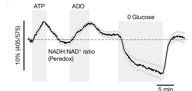 Open access visualization of Line Plot, Error Bars, ATP-induced changes, Adenosine-induced changes, Astrocyte Cytosolic NADH-NAD+ Redox State