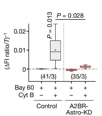 Open access visualization of Box Plot, Error Bars, A2BR Activation, Glucose Transport Blockade, Intracellular Glucose