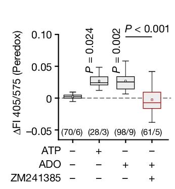 Open access visualization of Box Plot, ATP-induced changes, Adenosine-induced changes, Astrocyte Cytosolic NADH-NAD+ Redox State, Glucose Consumption