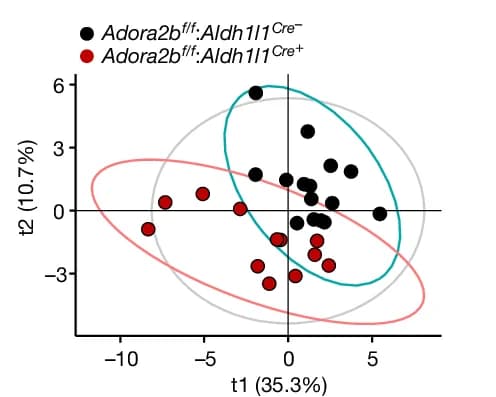 Open access visualization of Scatter Plot, PCA, Brain Metabolites, Partial Least Squares-Discriminant Analysis, PLS-DA
