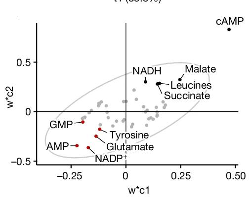 Open access visualization of Scatter Plot, PCA, PLS-DA, Brain Metabolites, Adora2b flox/flox Mice
