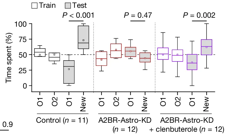 Open access visualization of Box Plot, Object Recognition Test, Exploration Time, Training, Testing