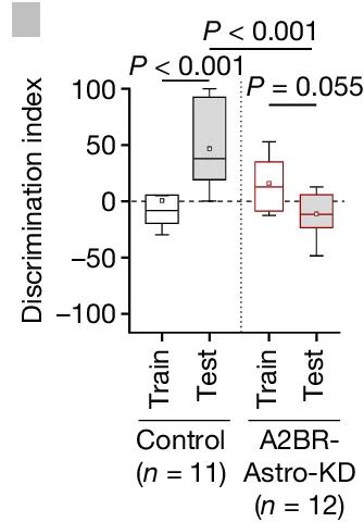 Open access visualization of Box Plot, Discrimination Index, Object Preference, Hippocampal Astrocytes, Recognition Memory