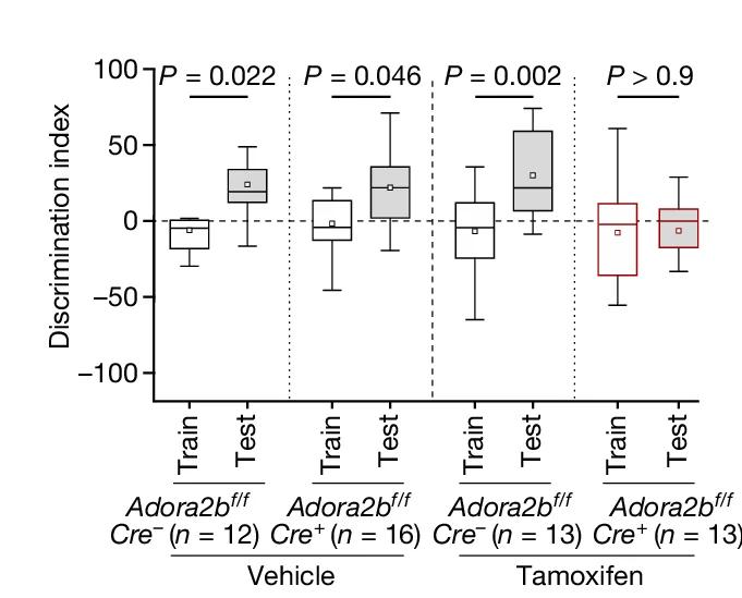 Open access visualization of Box Plot, Discrimination Index, Astrocytes, Vehicle, Tamoxifen