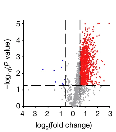 Open access visualization of Volcano Plot, Lysine Lactylation, AGS-R Cells, AGS-P Cells