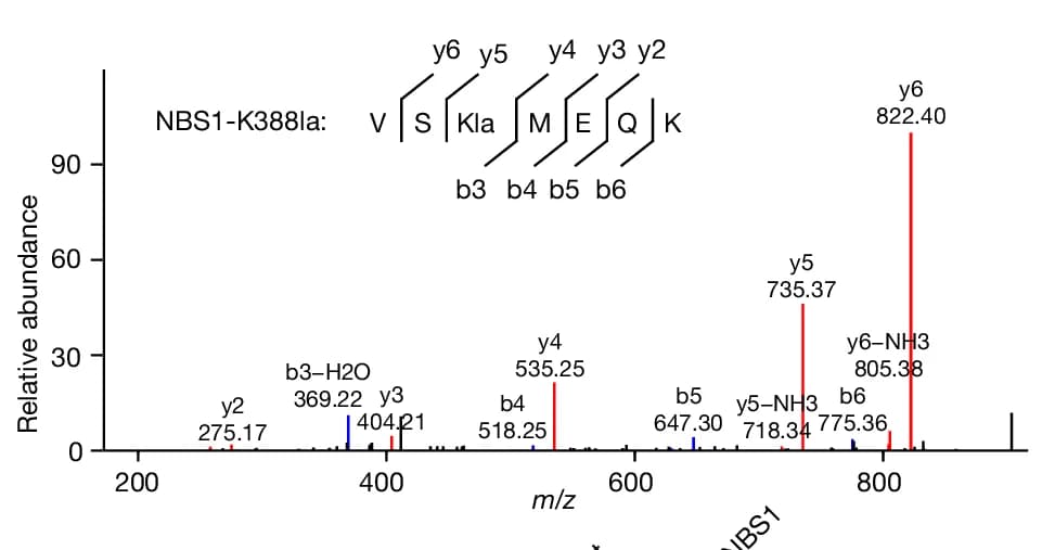 Open access visualization of Bar Plot, NBS1 K388 Lactylation, LC-MS/MS Analysis, VS(Kla)MEQK