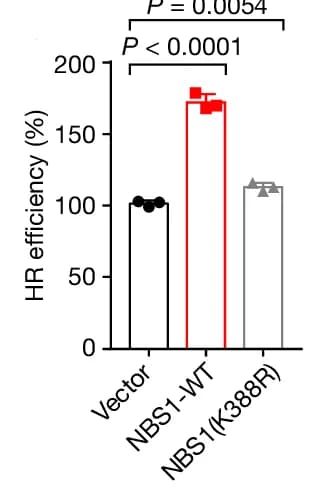 Open access visualization of Bar Plot, HeLa DR-GFP Reporter Cells, I-SceI-DsRed, Control Vector, NBS1-WT