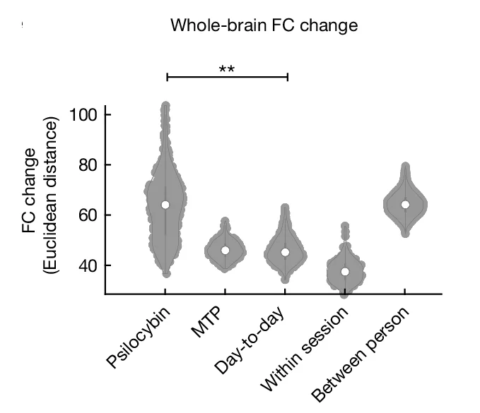 Open access visualization of Violin Plot, Whole-brain Functional Connectivity, Euclidean Distance, Methylphenidate, Psilocybin
