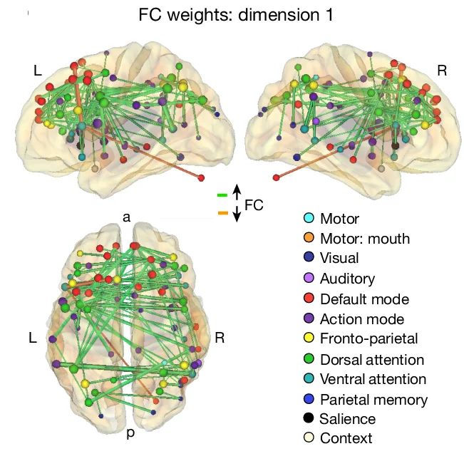 Open access visualization of Network, 3D Plot, Dimension 1 Weights, Brain Connections, Psilocybin