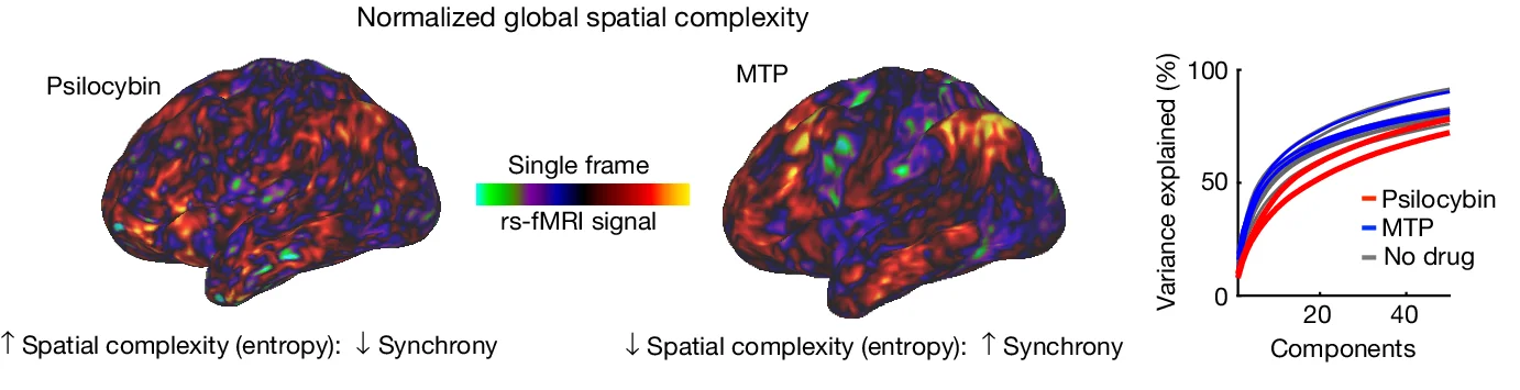 Open access visualization of Line Plot, 3D Plot, Brain Activity Patterns, Spatial Principal Components, Entropy