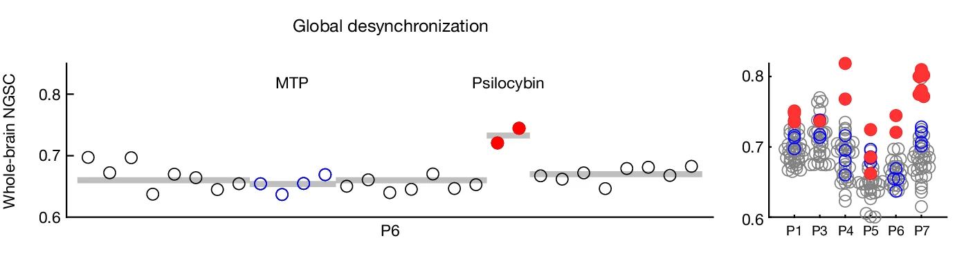 Open access visualization of Scatter Plot, Error Bars, Whole-Brain Entropy, NGSC, fMRI Scan
