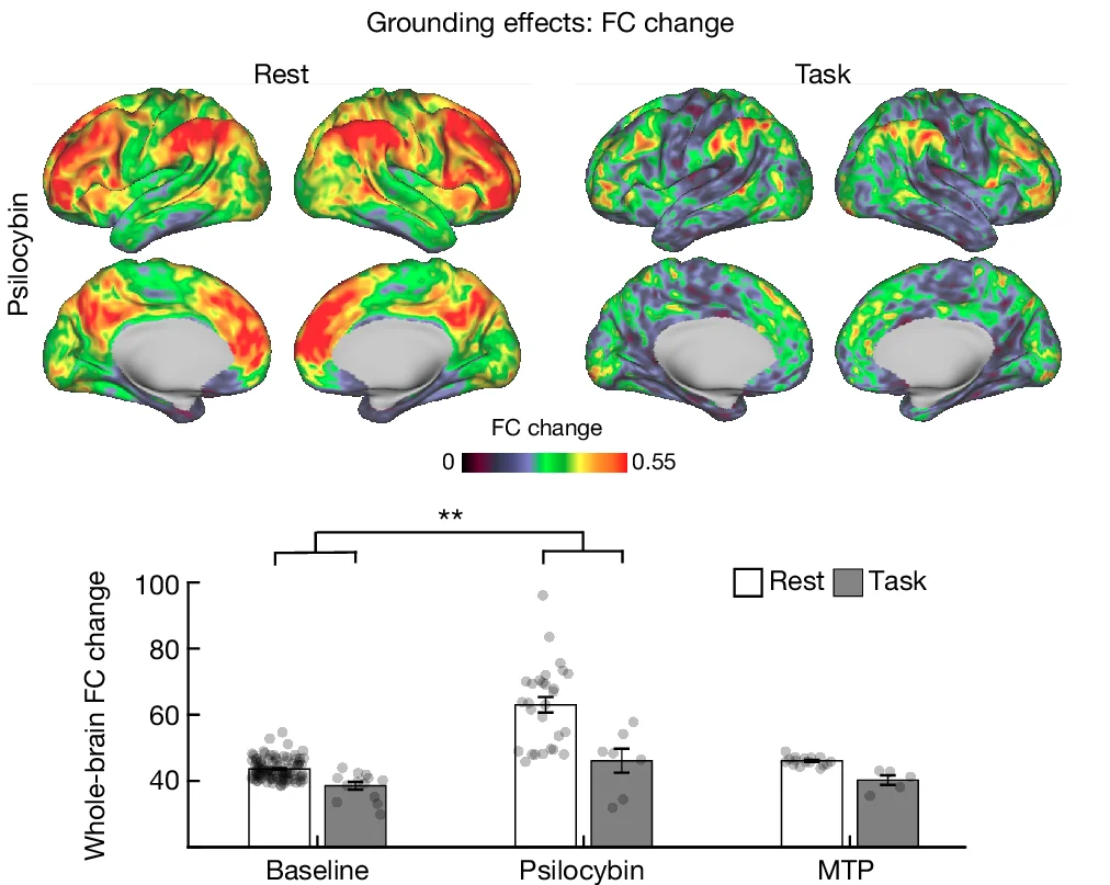 Open access visualization of Bar Plot, Error Bars, Psilocybin, Resting State, Task Scans
