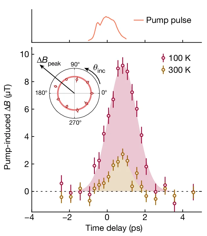 Open access visualization of Line Plot, Error Bars, Density Plot, Magnetic Field, Pump-probe Delay
