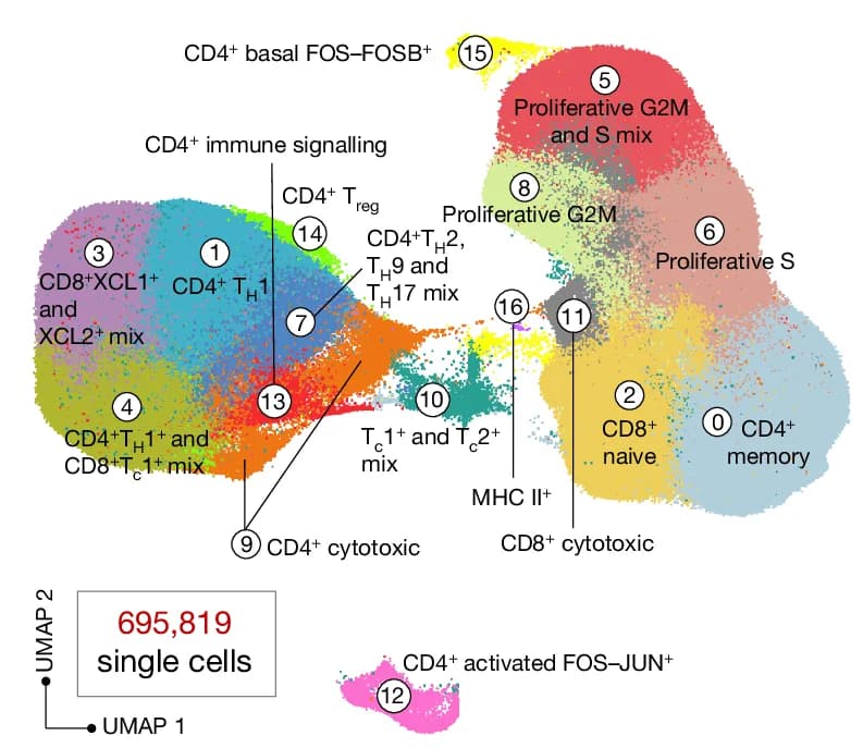 Open access visualization of Scatter Plot, UMAP, UMAP Visualization, CAR T Cells, Single Cell